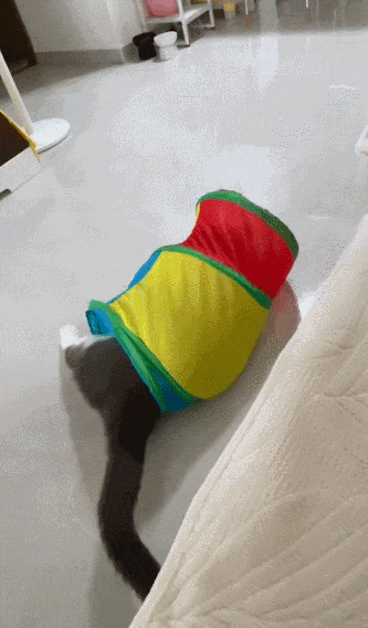 【宠物】主人网购大型猫玩具没看尺寸，收到货后惊呆了...咪：谢谢你送的衣服（组图） - 10