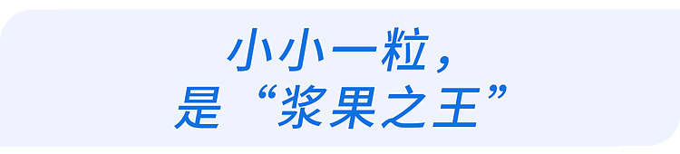 【健康】蓝莓再次成为关注对象！医生发现：吃蓝莓时，千万多留意这几点！（组图） - 2
