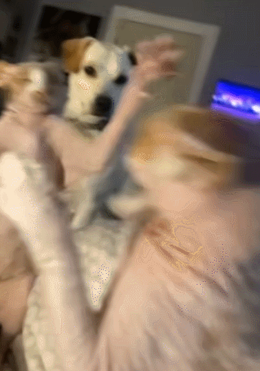 【宠物】男孩给太爷爷烧了一只纸折的奶牛猫，第二天家门口竟出现一模一样的猫...妈妈瞬间泪目：太爷爷以为你要送来了！（组图） - 11