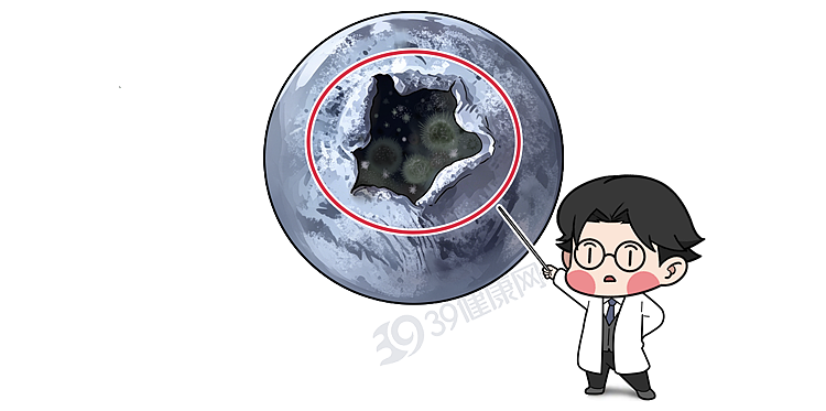 【健康】蓝莓再次成为关注对象！医生发现：吃蓝莓时，千万多留意这几点！（组图） - 12