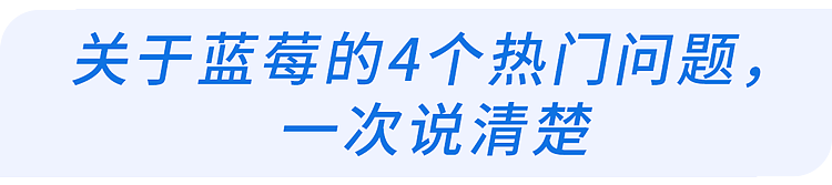 【健康】蓝莓再次成为关注对象！医生发现：吃蓝莓时，千万多留意这几点！（组图） - 5