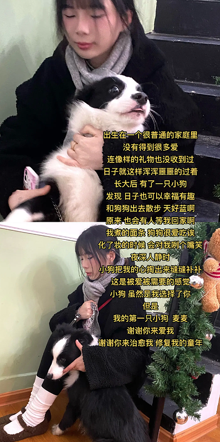 【宠物】主人骗狗子自己失业,养不起它了,没想到狗子竟开始大口吃起了蔬菜...(组图) - 1