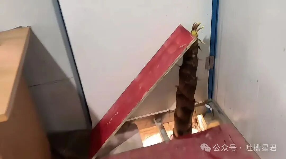 【爆笑】“关于我身上挂着内衣骑行1.5公里这件事…?”哈哈哈人怎么能尴尬成这样!(组图) - 73
