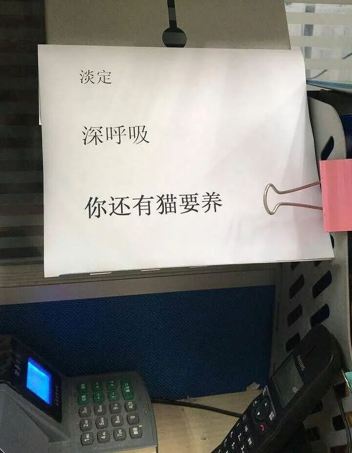 女子在家被救护担架抬走时,反复叮嘱医护人员看好门,别让猫跑出去!(组图) - 16
