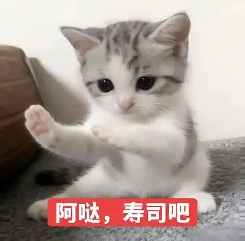 女子在家被救护担架抬走时,反复叮嘱医护人员看好门,别让猫跑出去!(组图) - 17