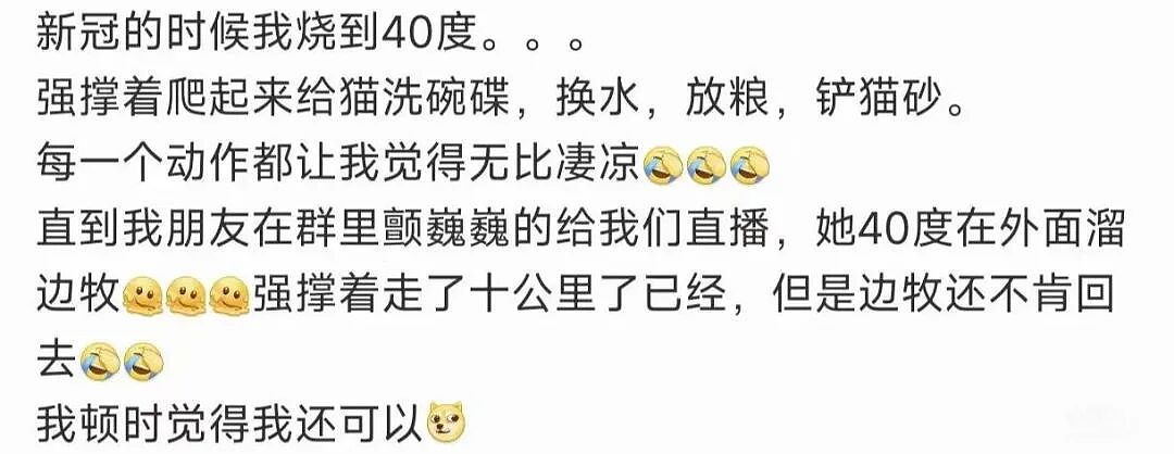 女子在家被救护担架抬走时,反复叮嘱医护人员看好门,别让猫跑出去!(组图) - 12