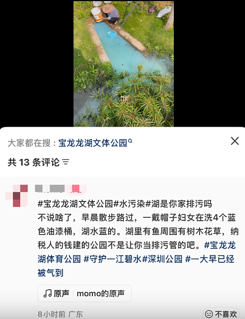 深圳公园湖水惊变天蓝色!缺德大妈环保行为引众怒(组图) - 6