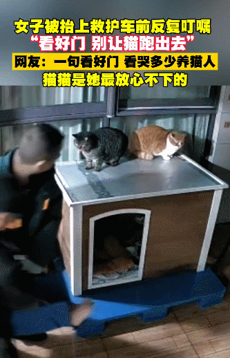 女子在家被救护担架抬走时,反复叮嘱医护人员看好门,别让猫跑出去!(组图) - 10