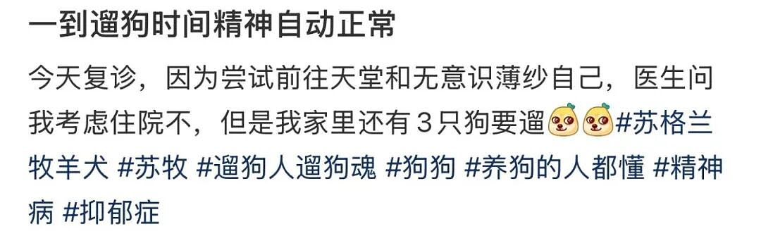 女子在家被救护担架抬走时,反复叮嘱医护人员看好门,别让猫跑出去!(组图) - 13