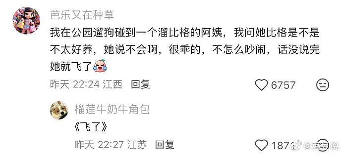 【爆笑】男朋友花5200给我买了件情侣装,试穿后傻眼了...?网友笑疯:得给我cp买一件!(组图) - 12