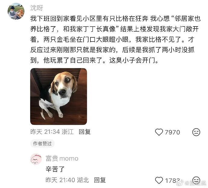 【爆笑】男朋友花5200给我买了件情侣装,试穿后傻眼了...?网友笑疯:得给我cp买一件!(组图) - 11
