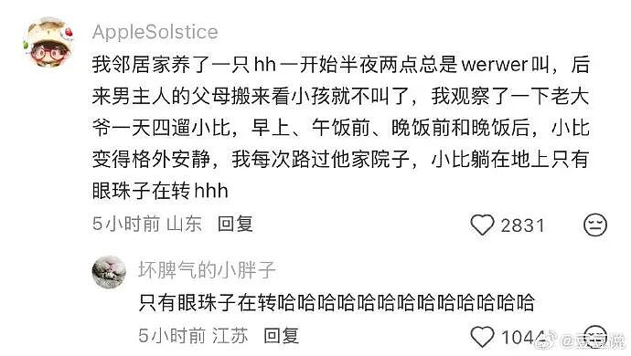 【爆笑】男朋友花5200给我买了件情侣装,试穿后傻眼了...?网友笑疯:得给我cp买一件!(组图) - 13