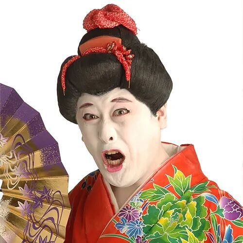 日本博主怒批外国人伪造舞妓账号,吃相难看侮辱日本文化!却遭日本官方电视台打脸!(组图) - 12