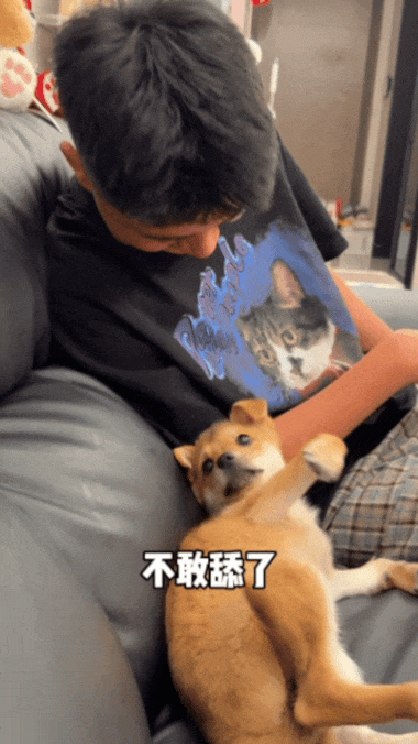 【宠物】狗子狂舔主人十分钟表示爱意,主人忍无可忍后反击,狗子:妈妈呀我不干净了!(组图) - 15
