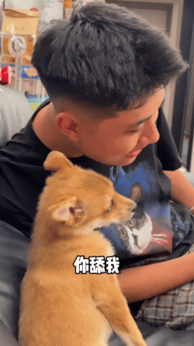 【宠物】狗子狂舔主人十分钟表示爱意,主人忍无可忍后反击,狗子:妈妈呀我不干净了!(组图) - 14