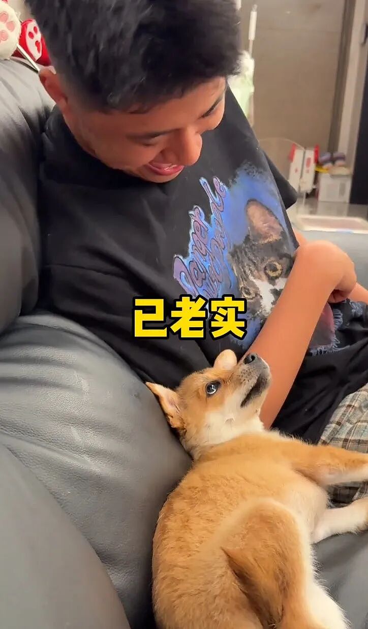【宠物】狗子狂舔主人十分钟表示爱意,主人忍无可忍后反击,狗子:妈妈呀我不干净了!(组图) - 16