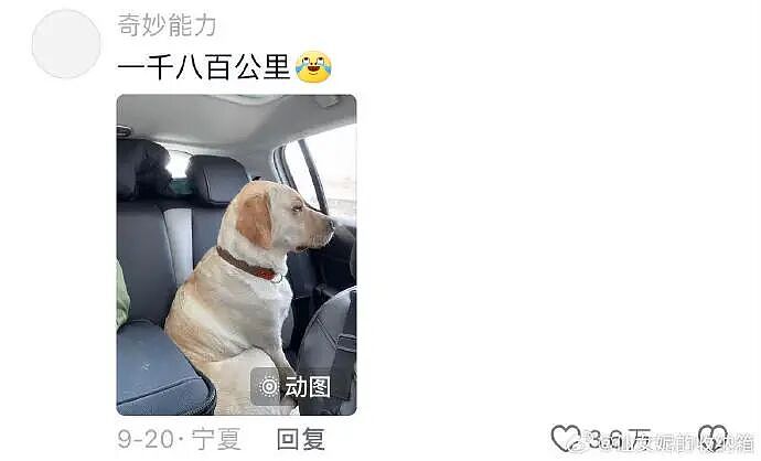 【爆笑】男朋友的微信名改成28？结果被我扒出小三姓唐？（组图） - 65