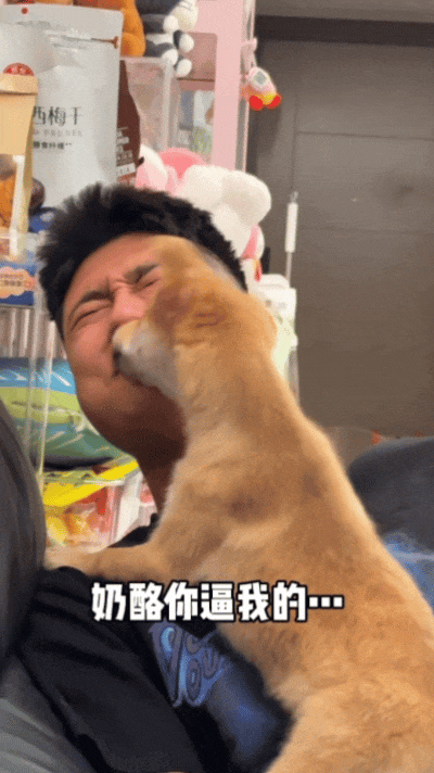 【宠物】狗子狂舔主人十分钟表示爱意,主人忍无可忍后反击,狗子:妈妈呀我不干净了!(组图) - 2