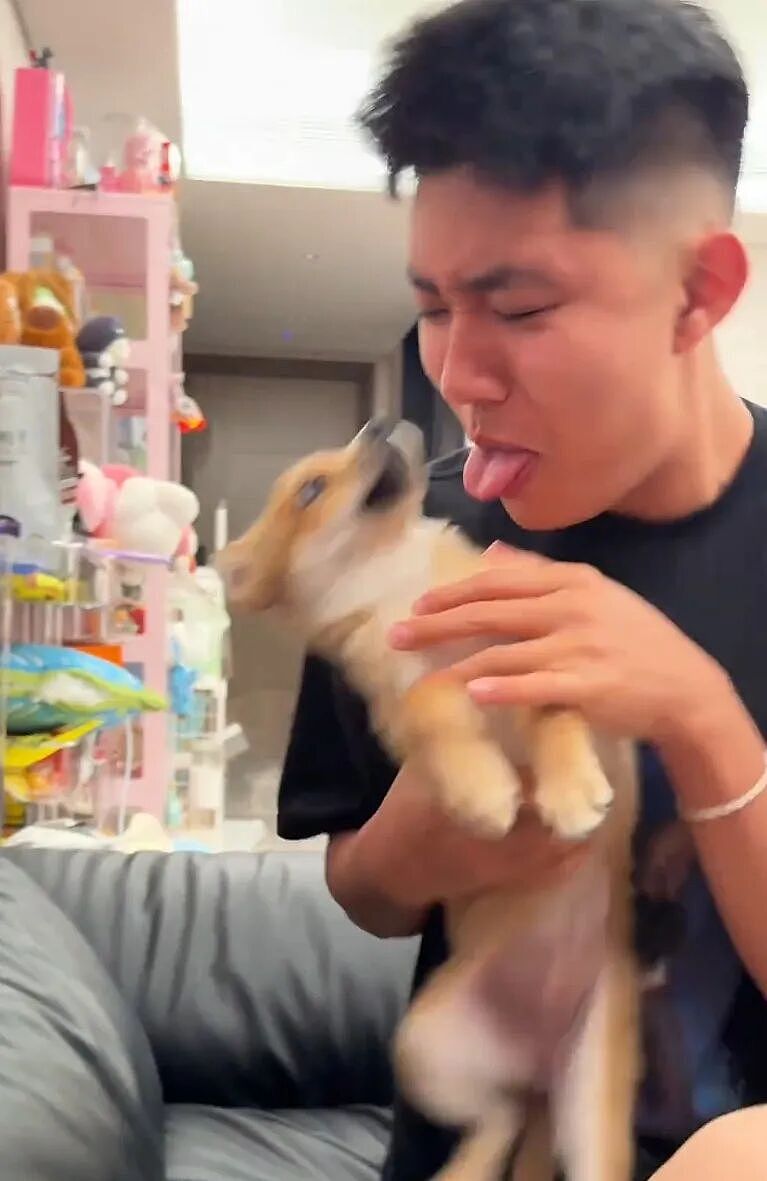 【宠物】狗子狂舔主人十分钟表示爱意,主人忍无可忍后反击,狗子:妈妈呀我不干净了!(组图) - 6