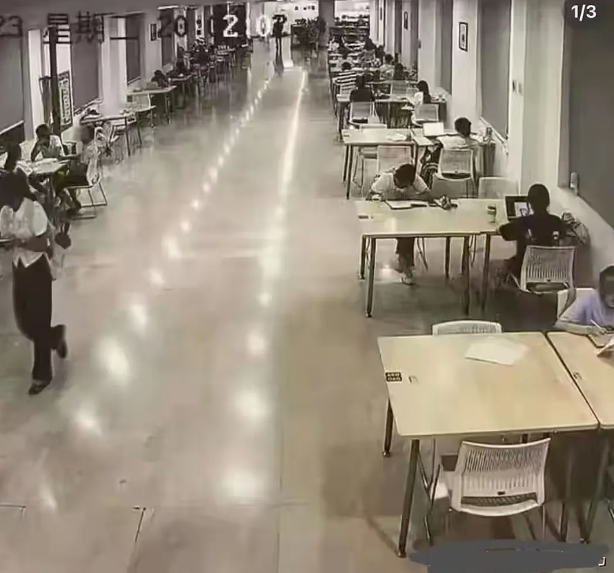 “武大杨X媛”最新晒照炫耀新工作颜值大变样!被网友举报后结局引人舒适(组图) - 4
