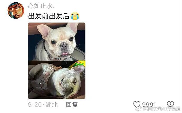 【爆笑】男朋友的微信名改成28？结果被我扒出小三姓唐？（组图） - 69