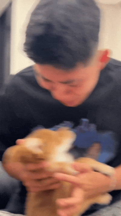 【宠物】狗子狂舔主人十分钟表示爱意,主人忍无可忍后反击,狗子:妈妈呀我不干净了!(组图) - 10