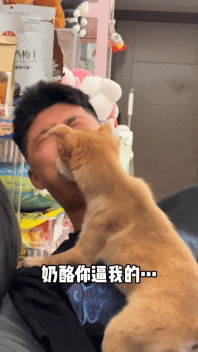 【宠物】狗子狂舔主人十分钟表示爱意,主人忍无可忍后反击,狗子:妈妈呀我不干净了!(组图) - 3