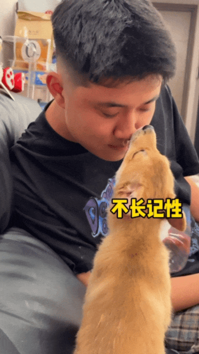 【宠物】狗子狂舔主人十分钟表示爱意,主人忍无可忍后反击,狗子:妈妈呀我不干净了!(组图) - 13