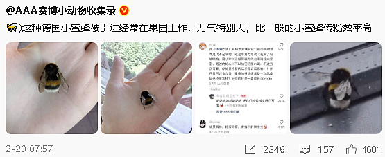 【爆笑】男朋友的微信名改成28？结果被我扒出小三姓唐？（组图） - 71