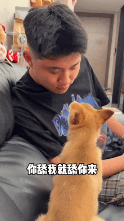 【宠物】狗子狂舔主人十分钟表示爱意,主人忍无可忍后反击,狗子:妈妈呀我不干净了!(组图) - 12