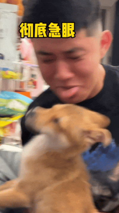 【宠物】狗子狂舔主人十分钟表示爱意,主人忍无可忍后反击,狗子:妈妈呀我不干净了!(组图) - 5