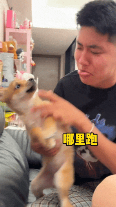 【宠物】狗子狂舔主人十分钟表示爱意,主人忍无可忍后反击,狗子:妈妈呀我不干净了!(组图) - 8