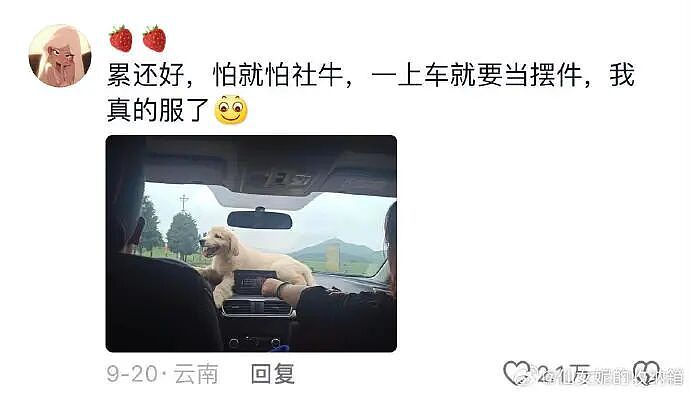 【爆笑】男朋友的微信名改成28？结果被我扒出小三姓唐？（组图） - 70