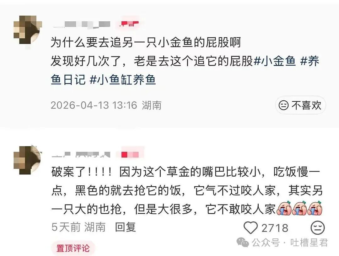 【爆笑】酒店回访意外暴露出gui事件…？啊啊啊世界已经颠到超出我的想象了（组图） - 32