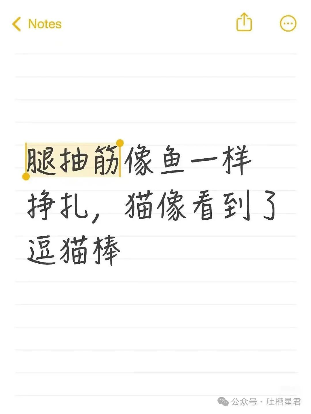 【爆笑】酒店回访意外暴露出gui事件…？啊啊啊世界已经颠到超出我的想象了（组图） - 27