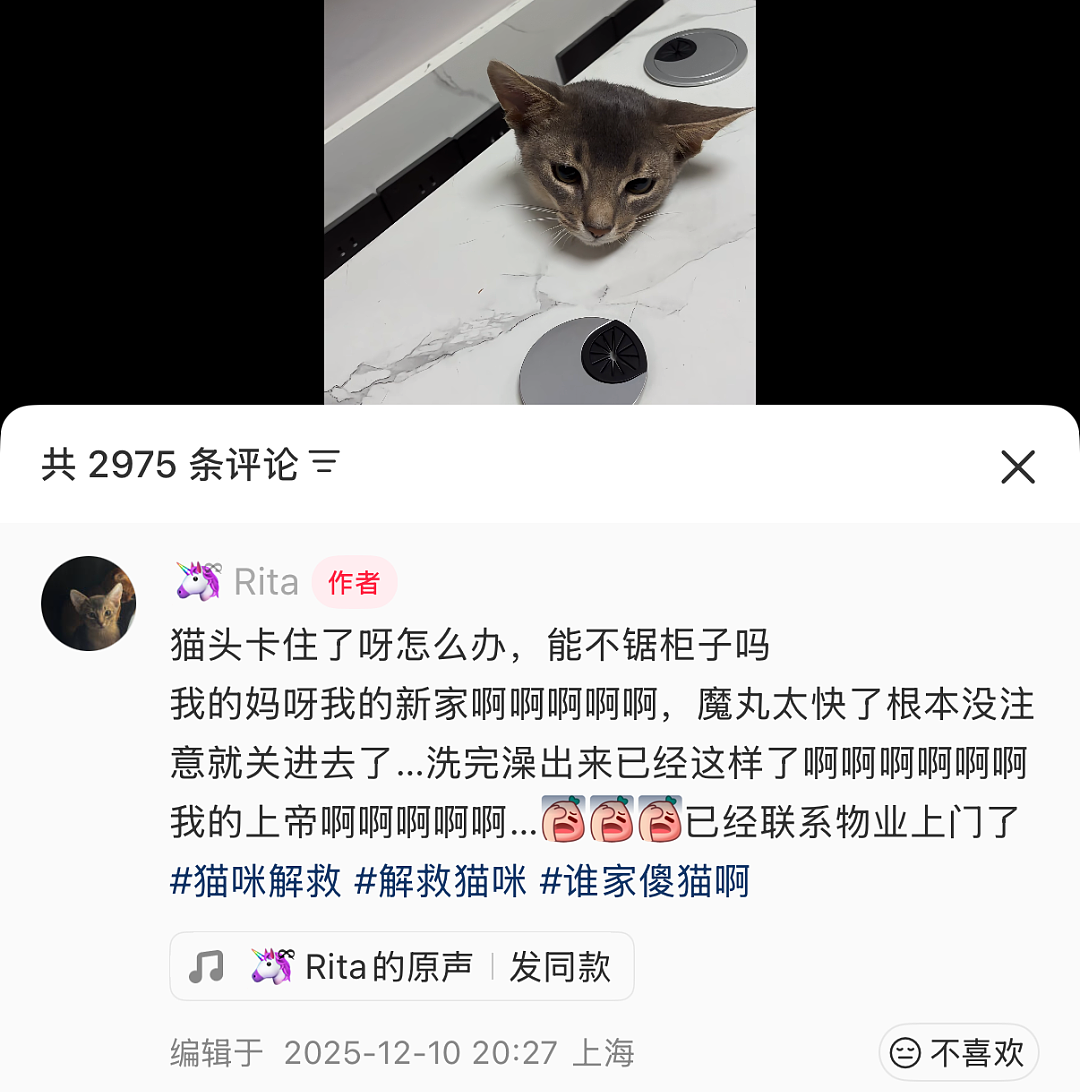 【宠物】阿比猫的头死死卡在新家柜子里，主人折腾到凌晨实在没招了（组图） - 16