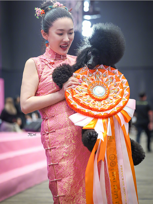 【情感】霍思燕携爱犬泰国夺冠,杜江的眼神藏不住了!相差5岁的姐弟恋太甜了(组图) - 2