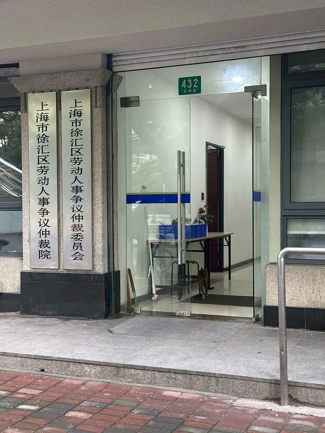 【宠物】主人将去世小猫埋在山上，2年后重返墓地，竟出现一只一模一样的猫（组图） - 16