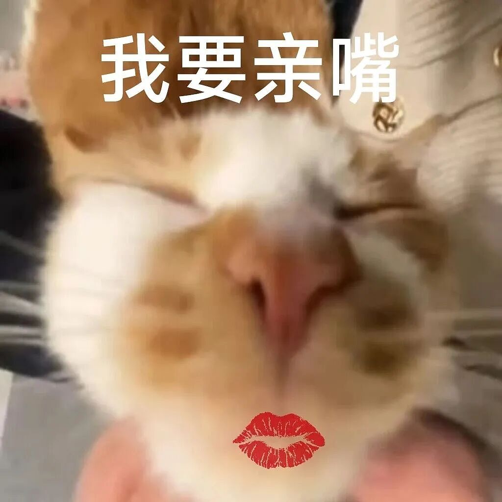 【宠物】主人将去世小猫埋在山上，2年后重返墓地，竟出现一只一模一样的猫（组图） - 50