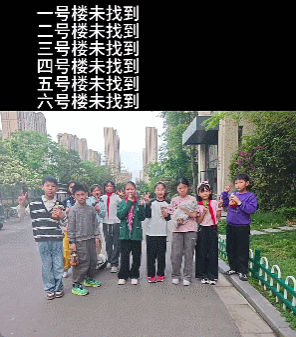 【宠物】主人将去世小猫埋在山上，2年后重返墓地，竟出现一只一模一样的猫（组图） - 9