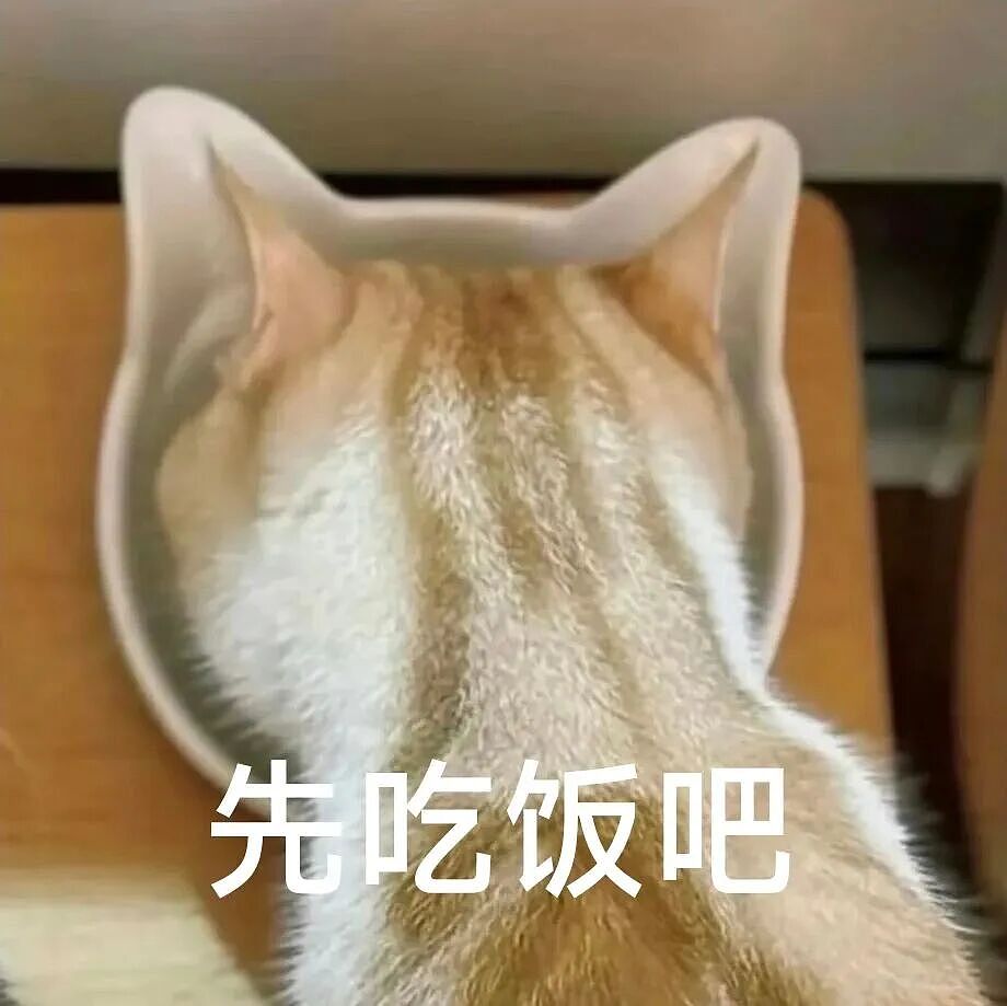 【宠物】主人将去世小猫埋在山上，2年后重返墓地，竟出现一只一模一样的猫（组图） - 1