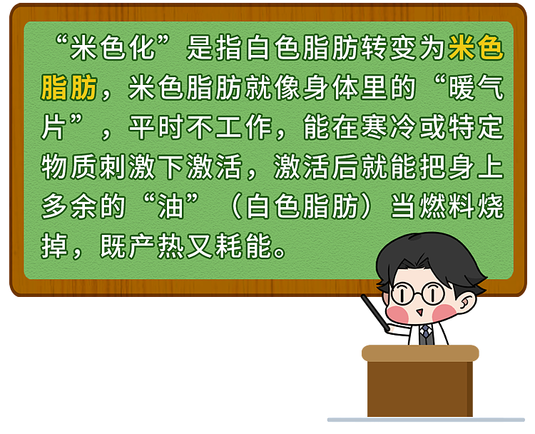 【健康】枸杞再次成为关注对象！医生发现：吃枸杞时，千万多留意这几点！（组图） - 4