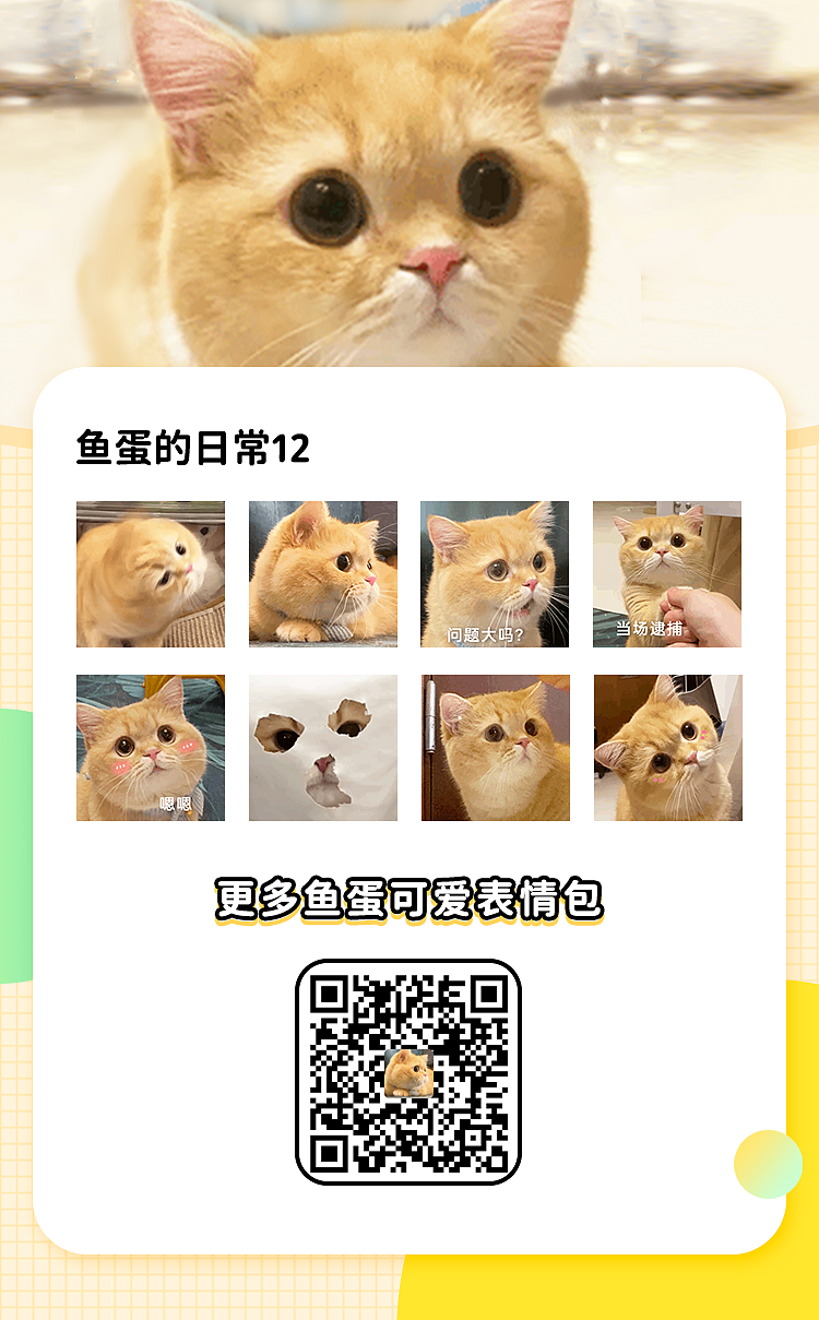 【宠物】主人将去世小猫埋在山上，2年后重返墓地，竟出现一只一模一样的猫（组图） - 49