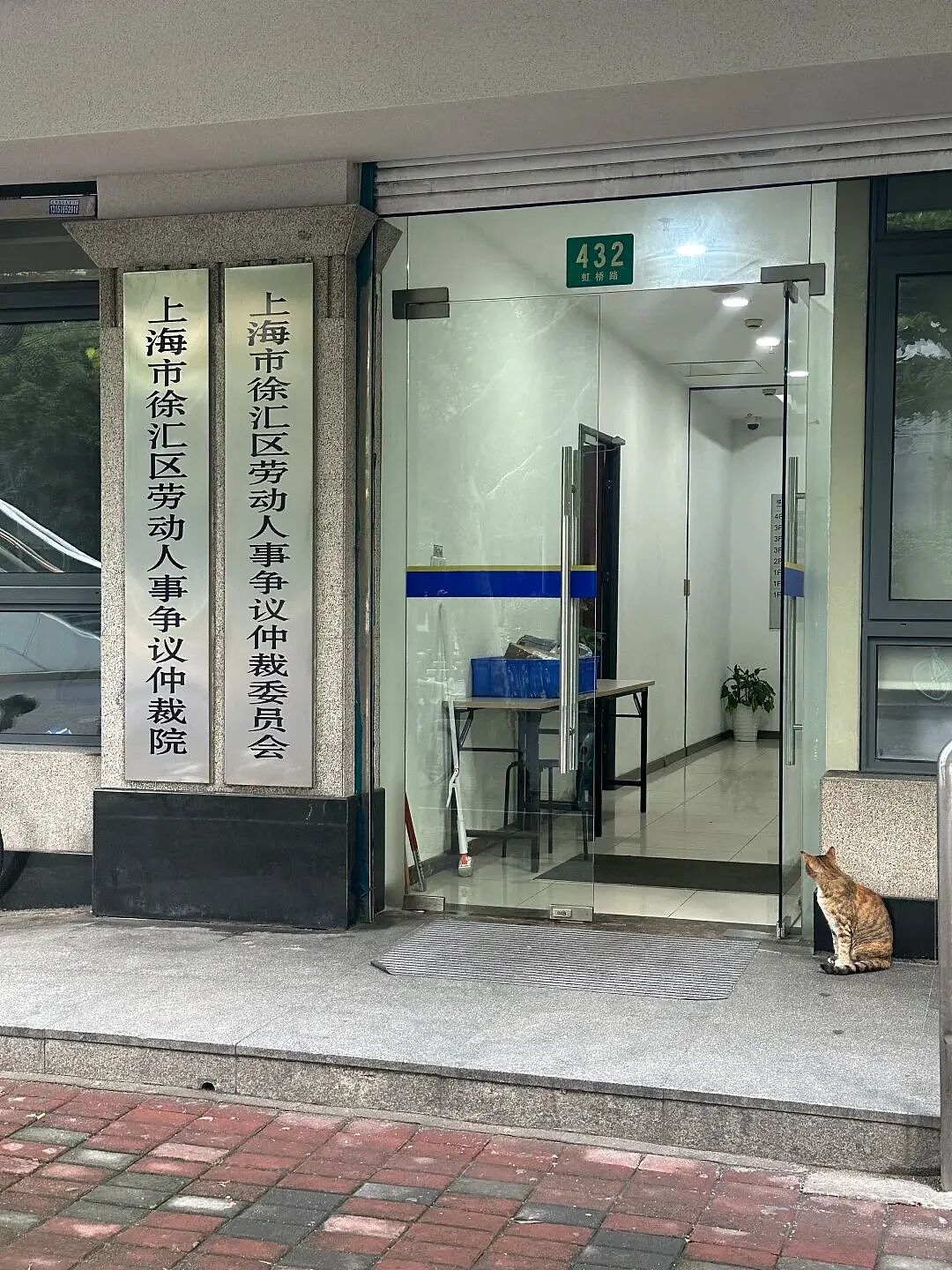 【宠物】主人将去世小猫埋在山上，2年后重返墓地，竟出现一只一模一样的猫（组图） - 15