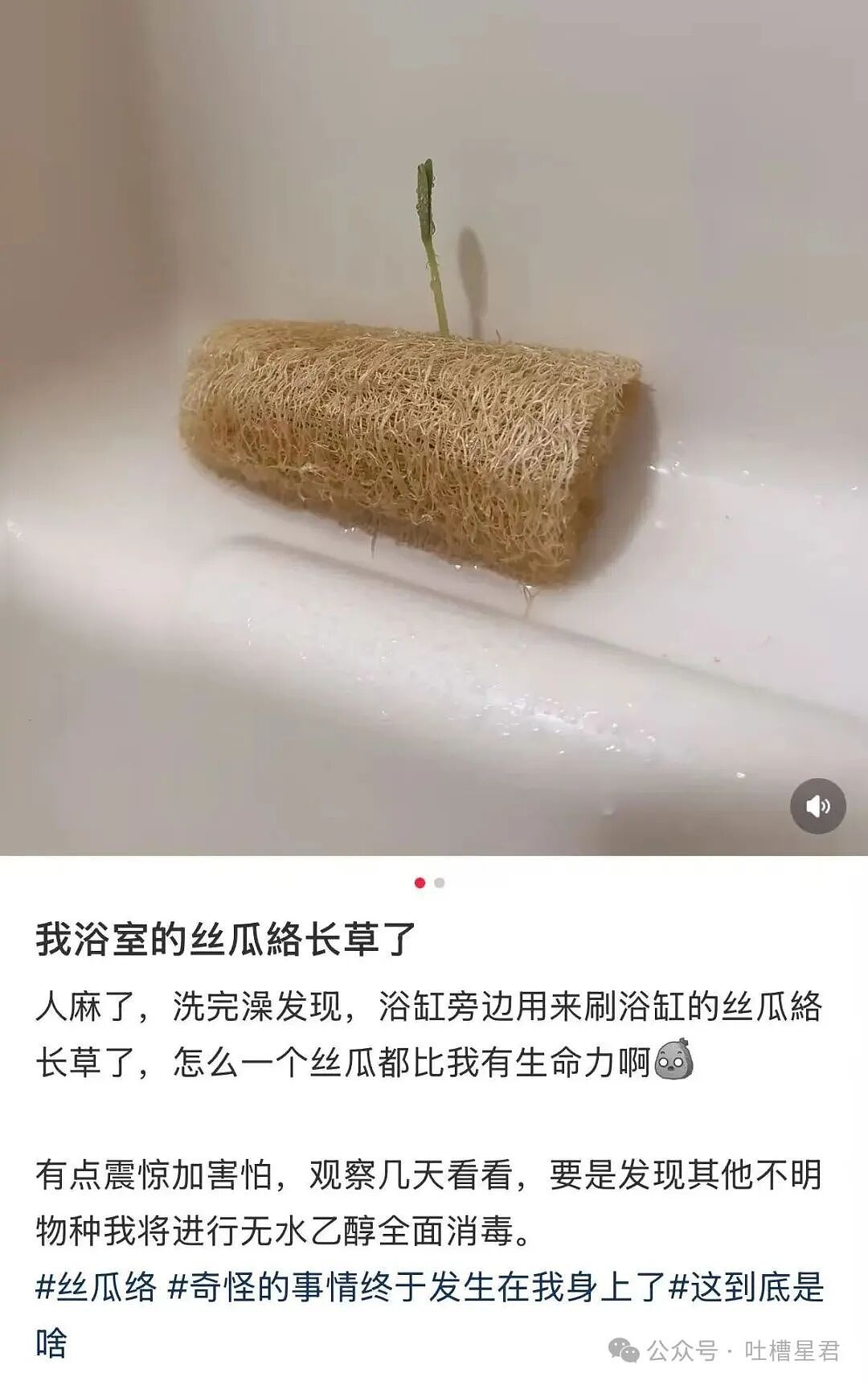 【爆笑】“将领导的工作照片做成相册把他感动到落泪…？”哈哈哈这才是真正的和珅转世！（组图） - 28