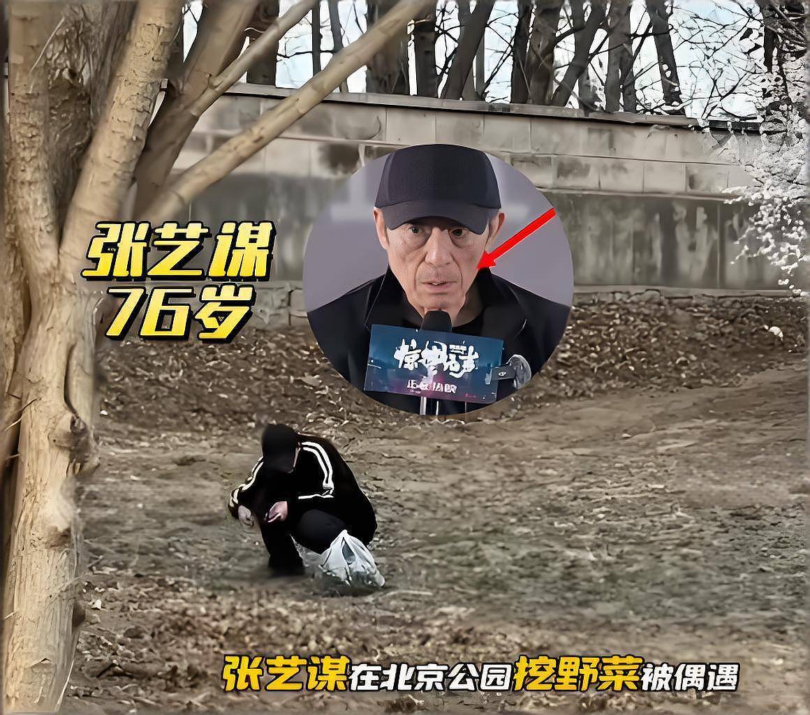 76岁张艺谋不敢老！风雨无阻每天快走5公里，要托起岳父母的晚年（组图） - 12
