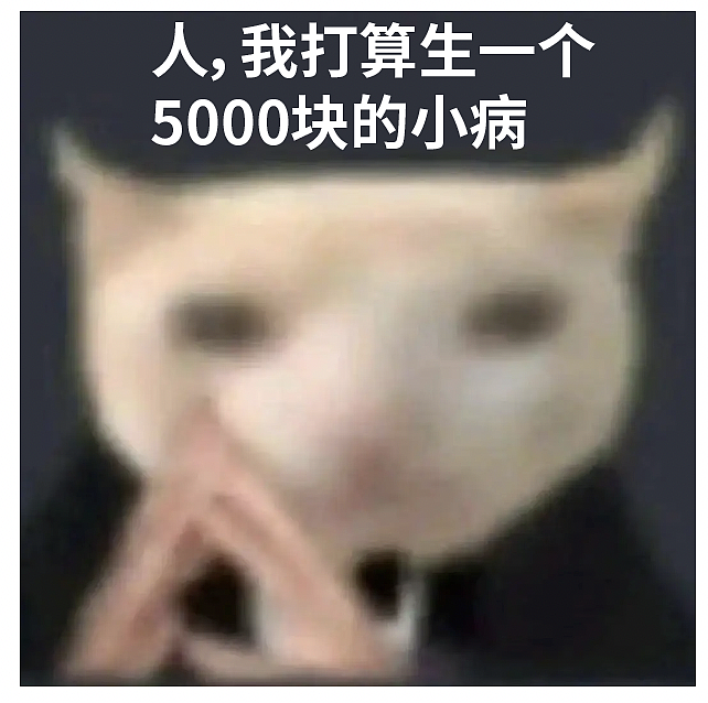 养宠物的人赚大了！研究发现，幸福感相当于年薪 65 万（组图） - 4