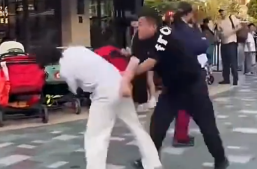 ​不让抽秒爆走！上海迪士尼壮汉“跳跃飞踹＋狠甩8耳光”劝烟男（视频/组图） - 2