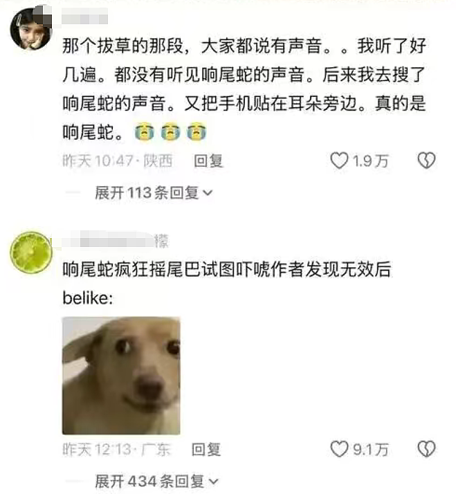女生查旅游攻略却被AI带入剧毒蛇窝！现场视频遍地响尾蛇太骇人（视频/组图） - 8