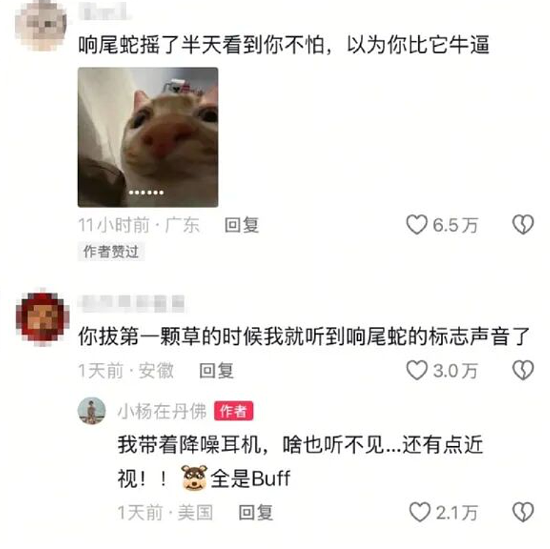 女生查旅游攻略却被AI带入剧毒蛇窝！现场视频遍地响尾蛇太骇人（视频/组图） - 5